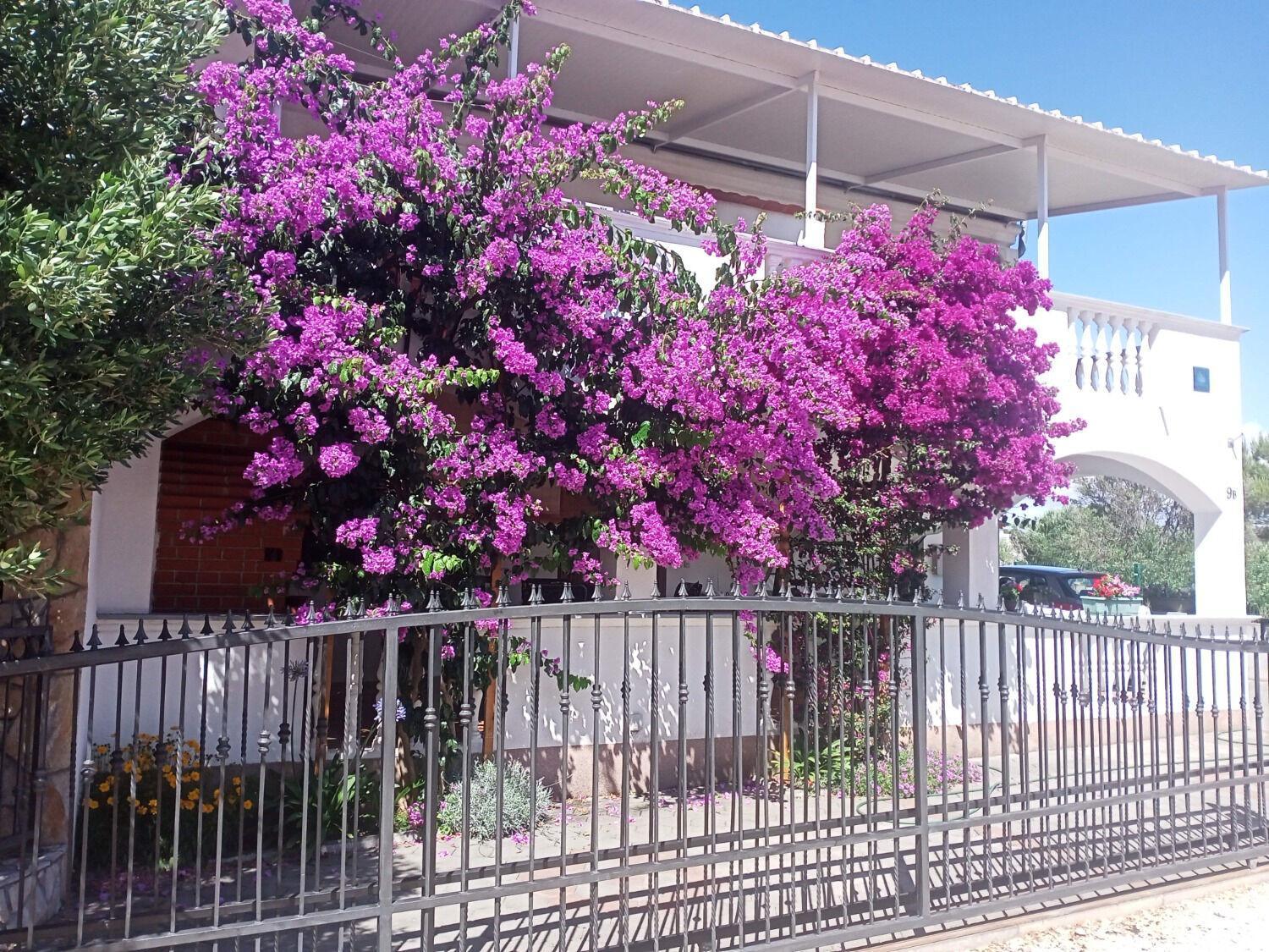 Apartments Marijan Drage Dış mekan fotoğraf